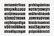 Bork: a blackletter-inspired font, a Blackletter Font by Harbor Type (Thumbnail 3 of 12)