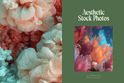 60 Coral Reef Stock Photos, a Nature Photo by Incomelion (Thumbnail 4 of 14)