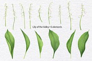 Watercolor wild spring flowers set, a Decorative Illustration by KathrineWatercolor (Thumbnail 8 of 10)
