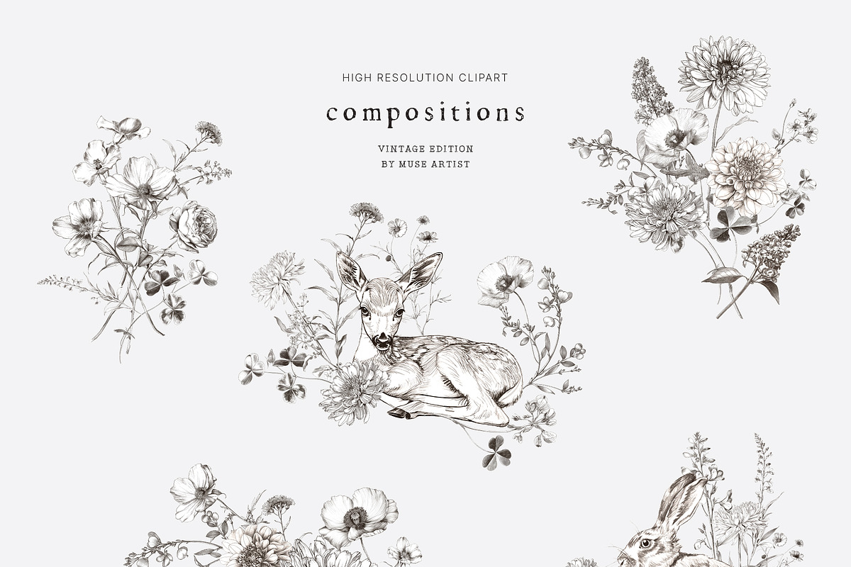 WILD GARDEN Pencil Sketch Clipart, a Decorative Illustration by Muse Artist (Photo 4 of 14)