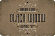 Black Widow Typeface, a Serif Font by VozzyStock (Thumbnail 1 of 6)