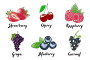 Set of 42 organic food sketches, a Food Illustration by Akimo Mia (Thumbnail 8 of 8)