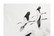 Gret Collection · Egrets in Flight, an Animal Illustration by milatovar (Thumbnail 15 of 17)