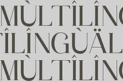 Ragam Luxury Font, a Serif Font by zerologicstudio (Thumbnail 6 of 6)