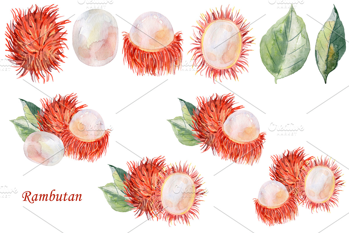 Watercolor tropical fruits., an Illustration by TaPilipa (Photo 36 of 39)