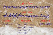 nidewoof Font, a Script Font by marone (Thumbnail 4 of 5)