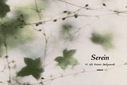Serein: Fine Art Texture Backgrounds, a Background Graphic by Purple (Thumbnail 7 of 10)