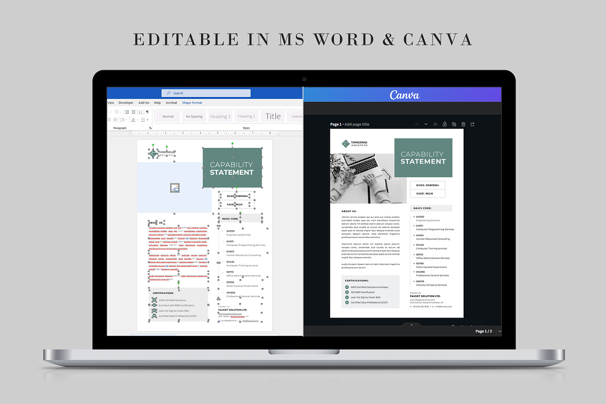 Business Capability Statement Design, a Brochure Template by DesVert (Photo 5 of 6)