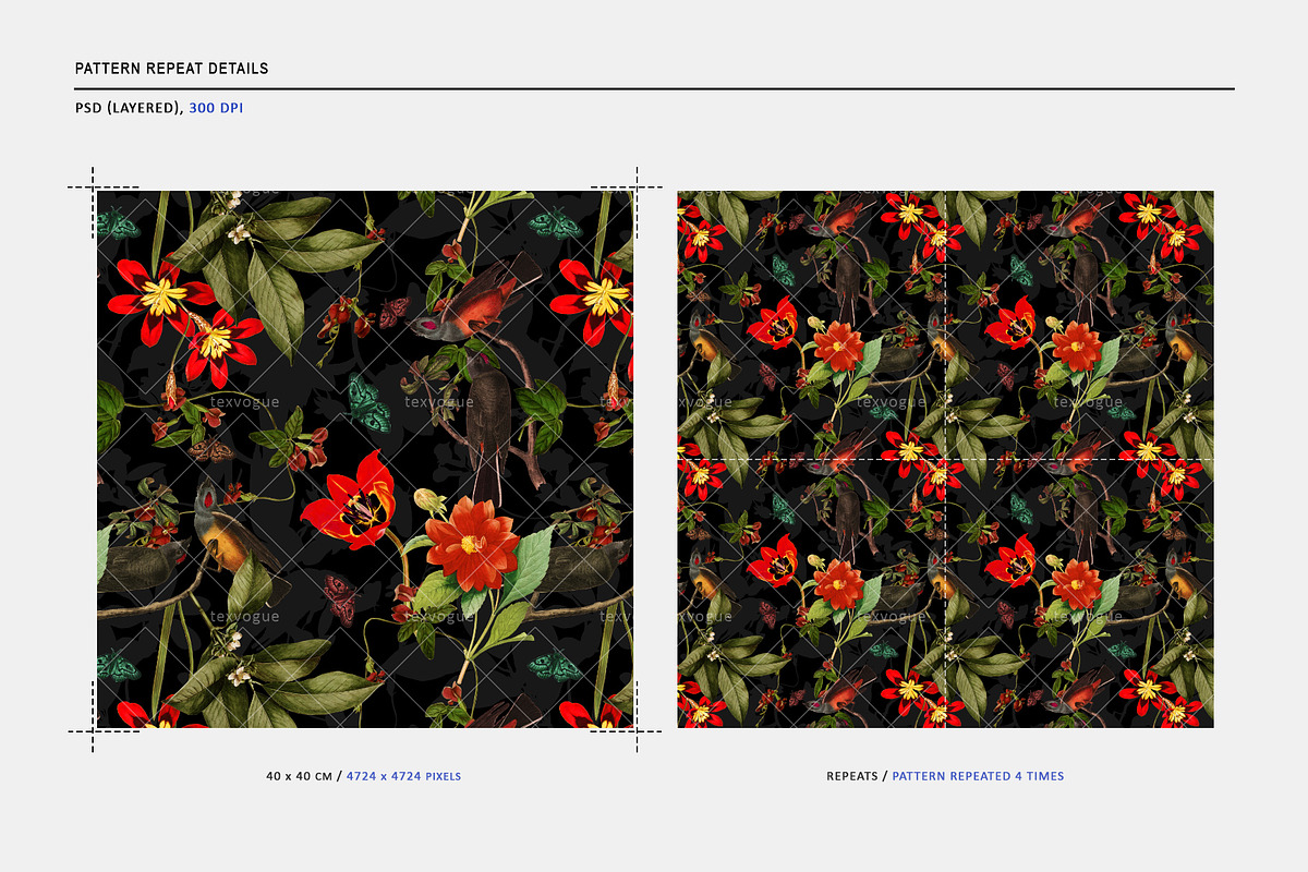Exotic Pattern - Seamless Patterns, a Pattern Graphic by texvogue (Photo 3 of 14)