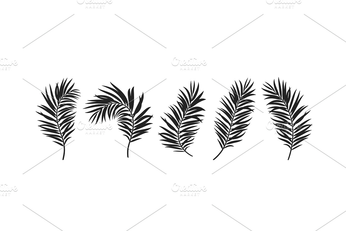 Set of vector silhouettes tropical, an Illustration by Liudmyla Matviiets