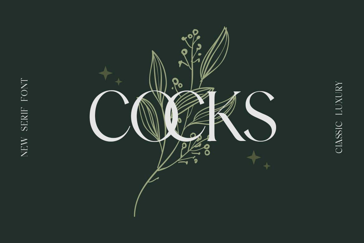 Blockstone Modern Display Serif Font, a Serif Font by UICreative (Photo 9 of 13)