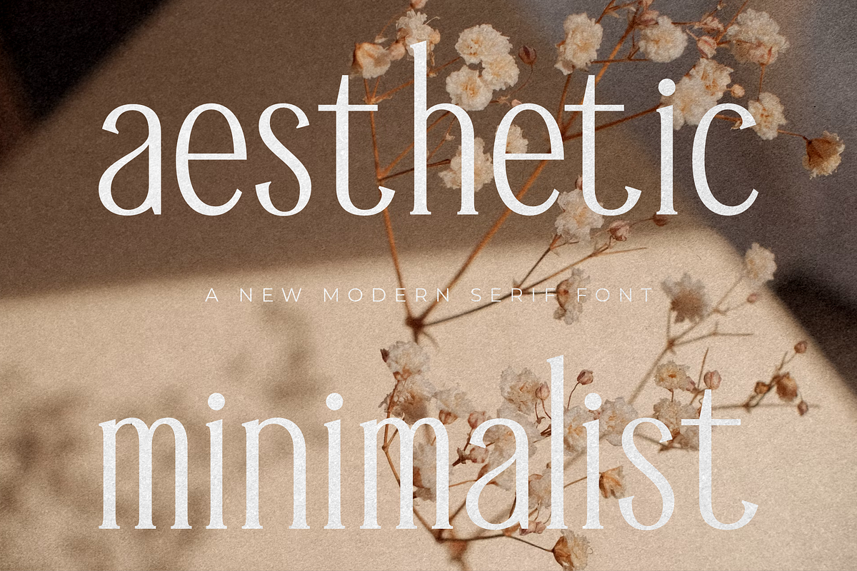 Mendalion A New Modern Serif Font, a Serif Font by Storytype Studio (Photo 8 of 15)