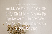 Arnelius Serif Font, a Serif Font by etigletters (Thumbnail 9 of 9)