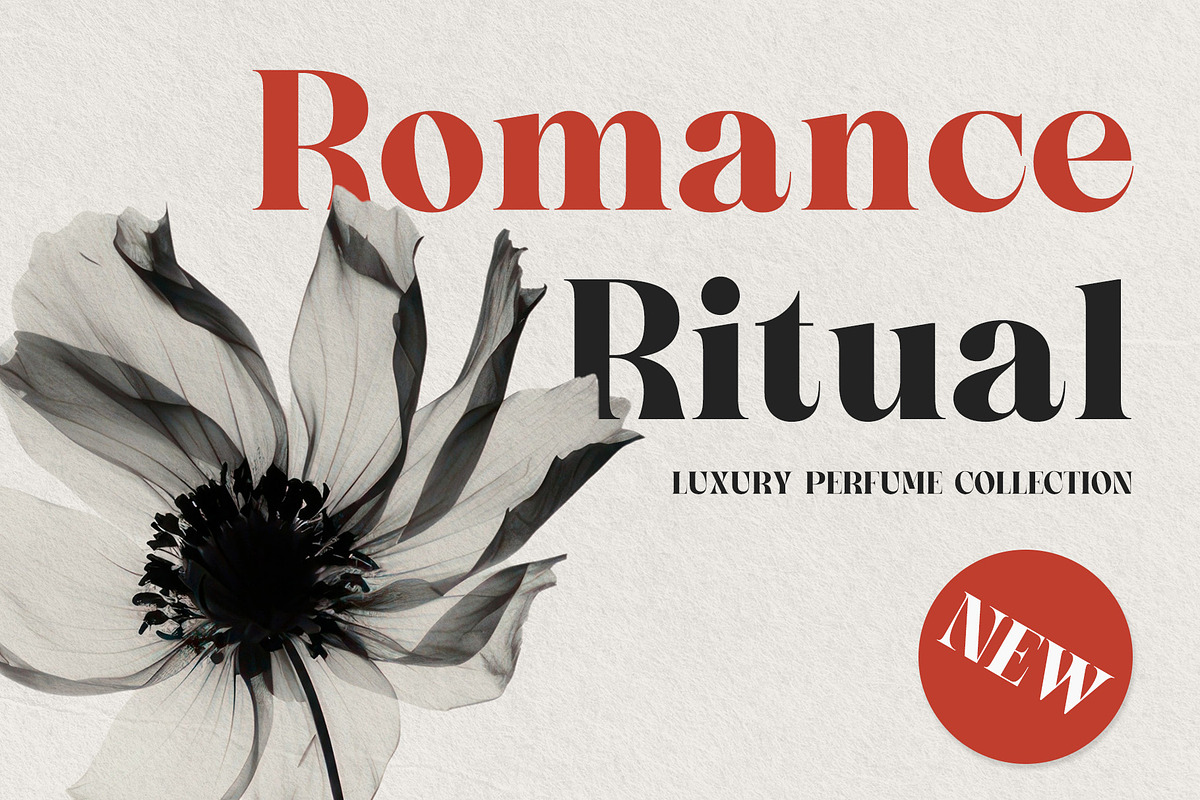 Sorella - Bold Serif Font, a Serif Font by Almeera Std (Photo 7 of 8)