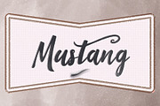 Kity Katrina Script Font, a Script Font by Design Dukkan (Thumbnail 11 of 14)