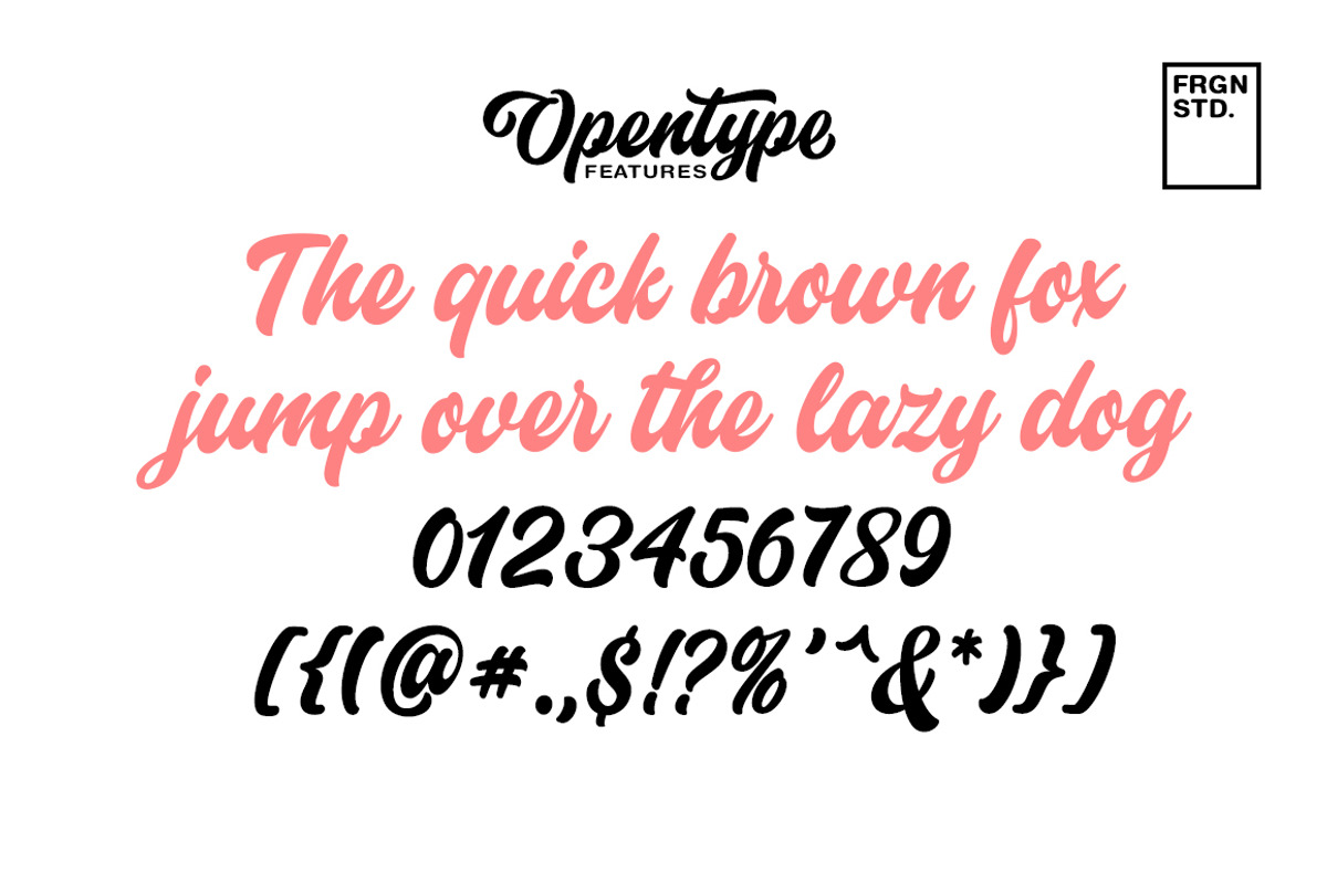 Historia Font, a Script Font by Fargun Studio (Photo 9 of 14)