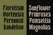 SFC Flosra - Folkcraft Display, a Slab Serif Font by Saera Type (Thumbnail 8 of 12)