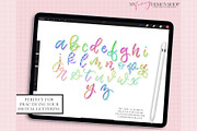 Procreate Plaid Lettering Brushes, a Brush Add-On by My Fancy Design Shop (Thumbnail 10 of 10)