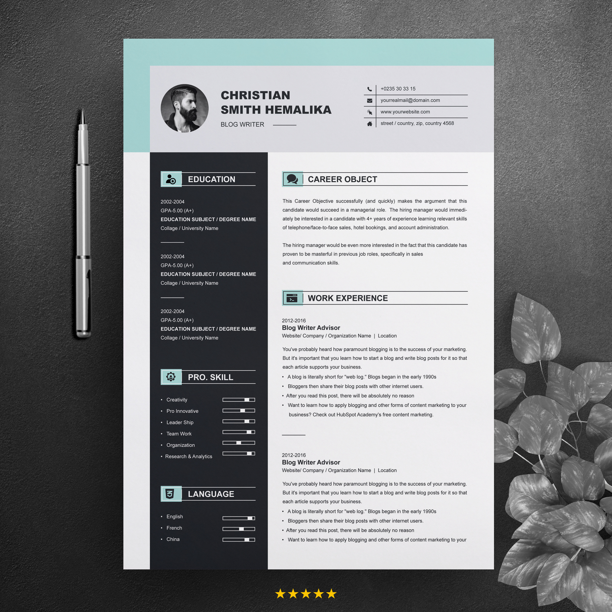 Professional Resume Template | CV, a Resume Template by ResumeInventor