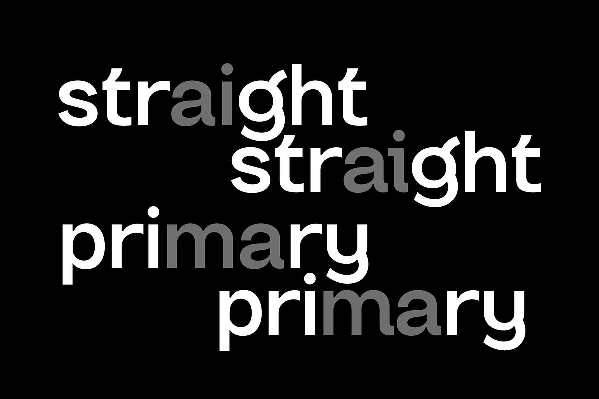 Gradus Grotesk Font Family, a Sans Serif Font by Brenners (Photo 13 of 19)