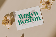 The Bencoy Modern Serif Display, a Serif Font by timelesstype.co (Thumbnail 14 of 20)