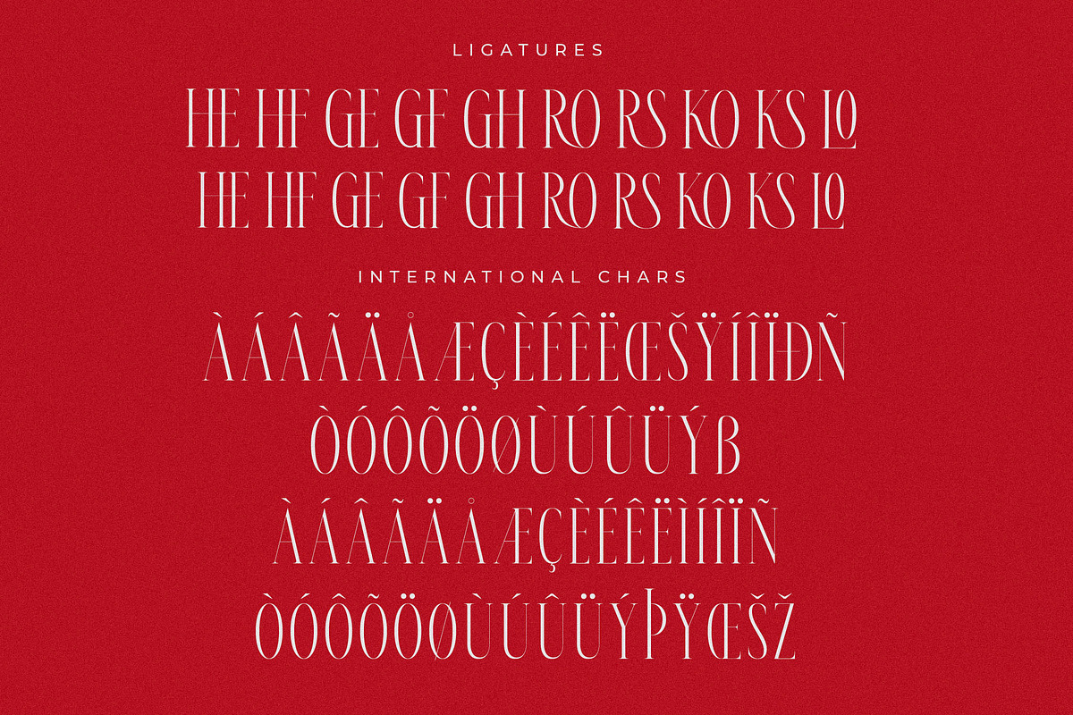 Meksron Modern Serif Font, a Serif Font by Letterena Studios (Photo 14 of 15)