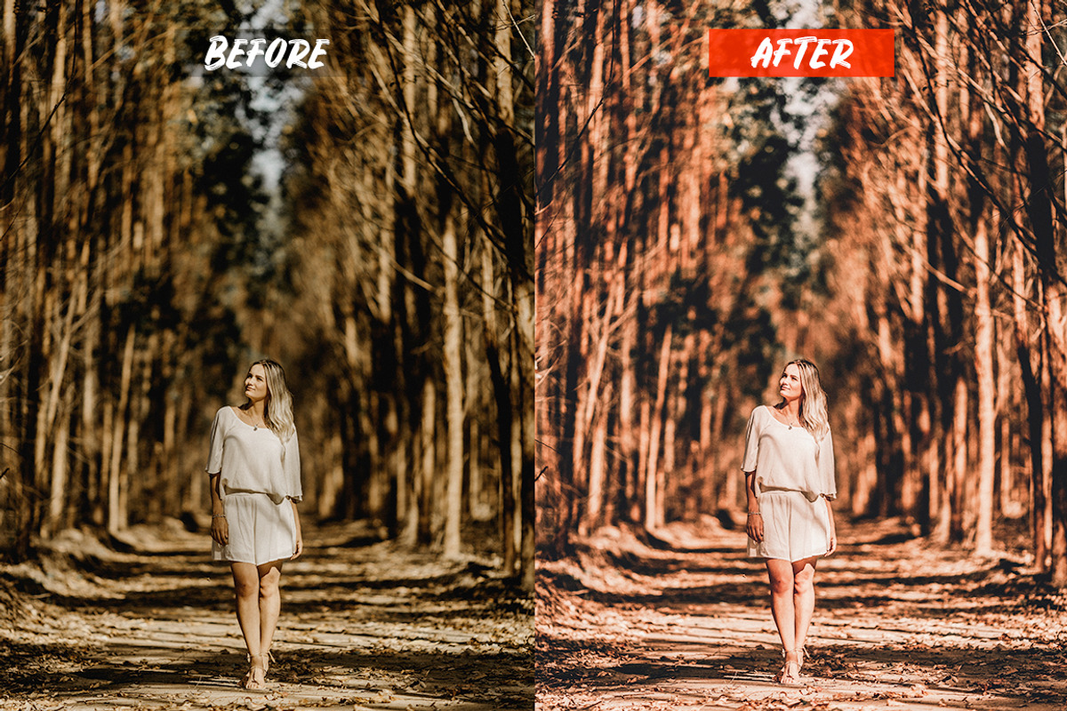 Mobile Lightroom Presets, an Action Add-On by Lavinsky Art Store (Photo 4 of 13)