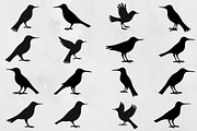 Bird Silhouette SVG, an Animal Illustration by newminddesign (Thumbnail 1 of 3)