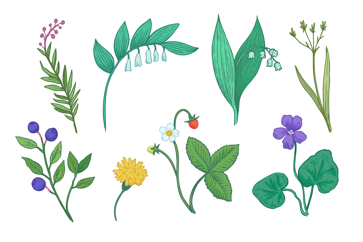 Summer in the forest illustrations, a Decorative Illustration by Robusta (Photo 3 of 4)