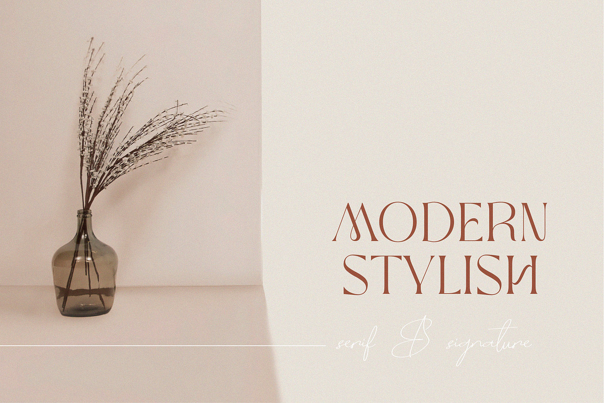 Moxa Bestine-Modern Decorative font, a Serif Font by ToniStudio (Photo 11 of 11)