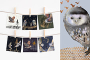 Magic owls: 280 elements for design, an Animal Illustration by Shusha Guna Art (Thumbnail 13 of 23)