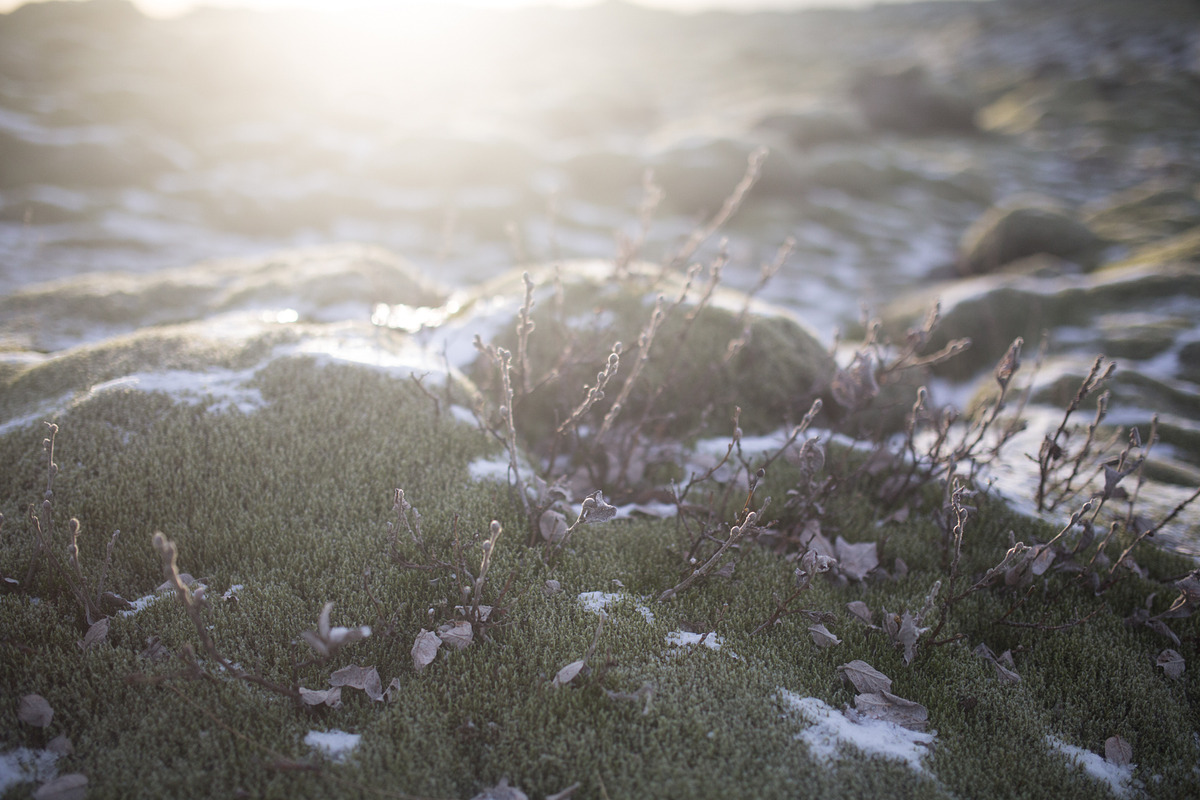 LIGHTROOM PRESETS ICELAND! travel, an Action Add-On by Graphics, Presets, Photos (Photo 30 of 58)