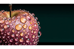 A solitary red apple is set against, an Arts & Entertainment Photo by ZinetroN
