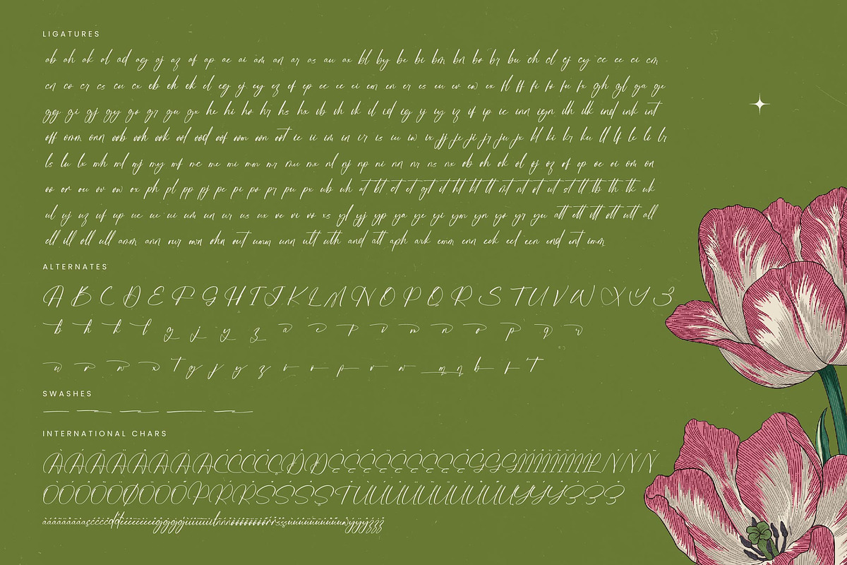Josephine Octavia Stylish Font, a Script Font by stylishtype.co (Photo 19 of 20)