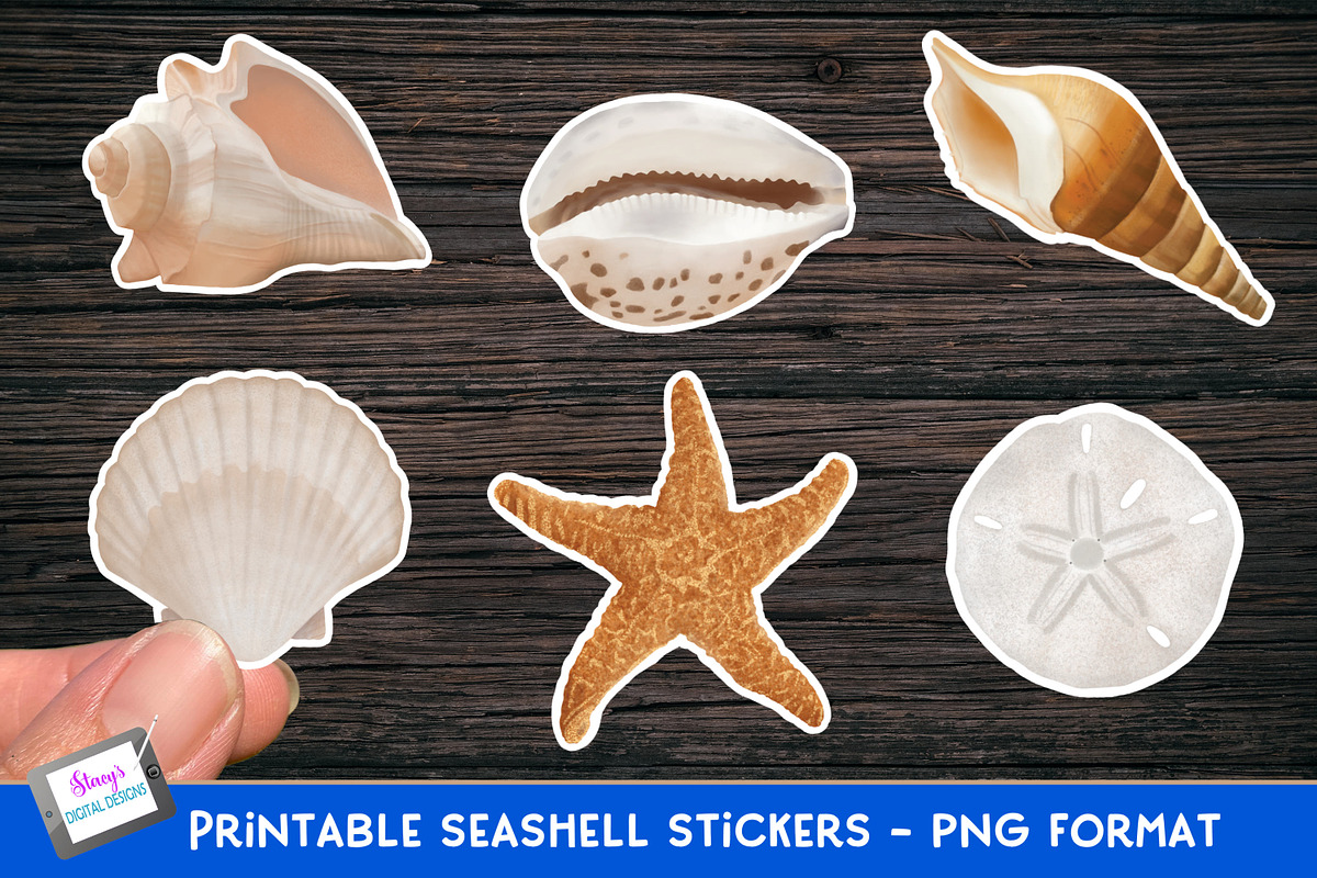 Seashell Stickers | 6 PNG Shells, an Object Graphic by Stacy's Digital Designs