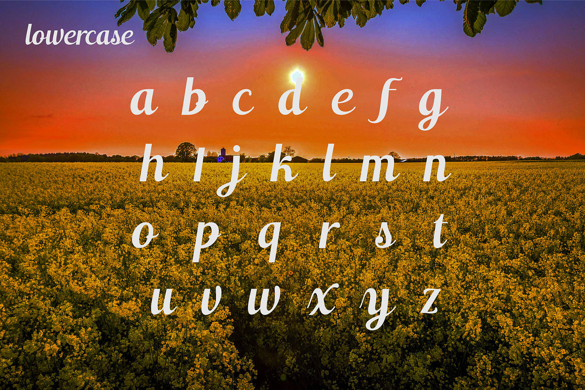Switzerland, a Script Font by Funtype (Photo 9 of 14)