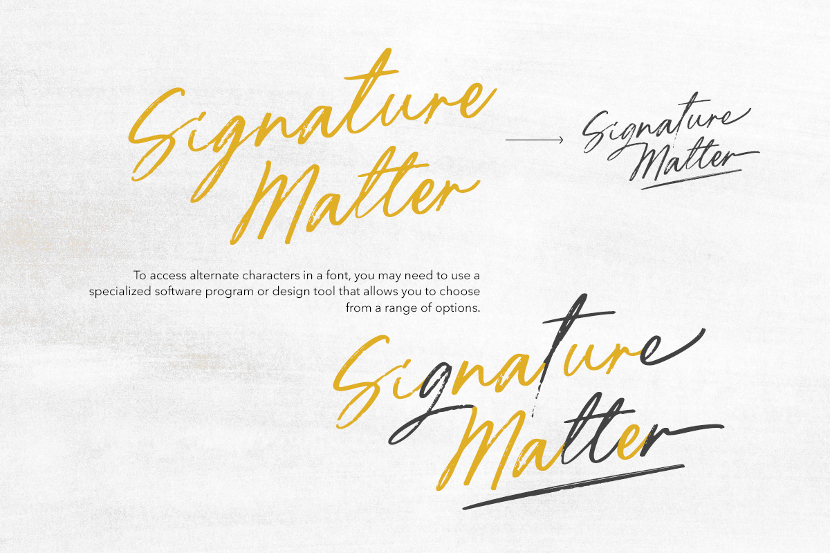 Ardelion - Signature Brush Script, a Script Font by Sarid Ezra (Photo 4 of 9)