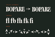 Balide - Display Serif, a Serif Font by Adam Fathony (Thumbnail 17 of 17)