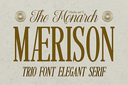 Maerison - Trio Serif Script Font, a Serif Font by Flawless And Co (Thumbnail 1 of 10)
