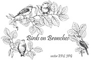 Birds on Branches Sketch, a Decorative Illustration by Valentyna Smordova (Thumbnail 1 of 9)
