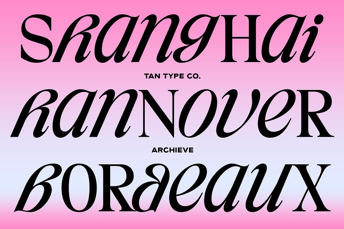 TAN - ARCHIEVE, a Serif Font by TanType (Photo 6 of 11)