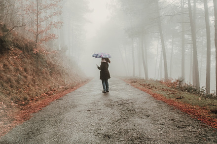 lady with an umbrella on a foggy aut, a Nature Photo by Perpis