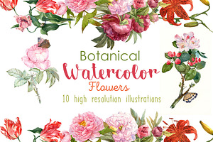 Watercolor botanical flowers 