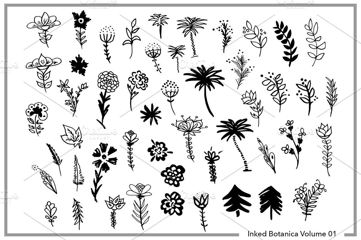 Botanical Plant & Floral Mega Bundle, an Object Graphic by kristiangallagher (Photo 3 of 3)