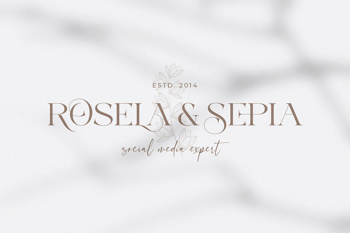 Medino // Modern Stylish Serif, a Serif Font by BrandSemut (Photo 2 of 10)