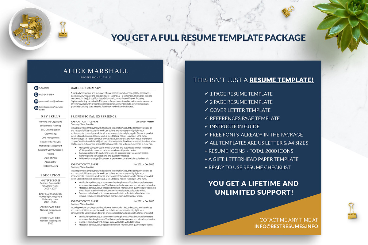 C-Level Modern Resume Template Word, a Resume Template by BestResumes.Co (Photo 6 of 7)