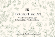 Botanical Line Art Illustrations, a Decorative Illustration by youtoview (Thumbnail 1 of 15)