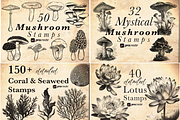 2000 Botanical Lover Stamp Brushes, a Brushes & More by CreativeProBrushes (Thumbnail 4 of 6)