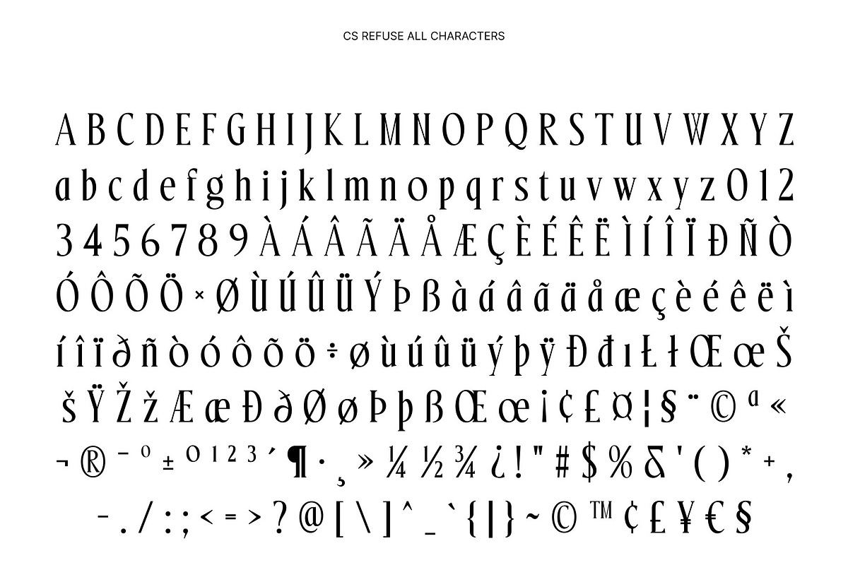 CS Refuse – Contemporary Font, a Serif Font by Craft Supply Co. (Photo 8 of 8)