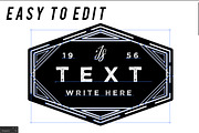 [vol.1] 20 Retro Badges Templates, a Branding & Logo Template by Roman Paslavsky (Thumbnail 6 of 8)
